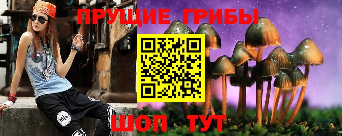 Галлюциногенные грибы прущие грибы  где можно купить   Богородицк  Вход с VPN 